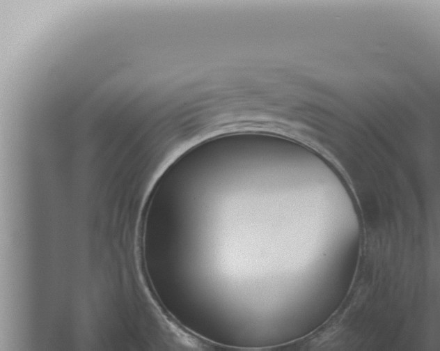 X0000059821533200510281718