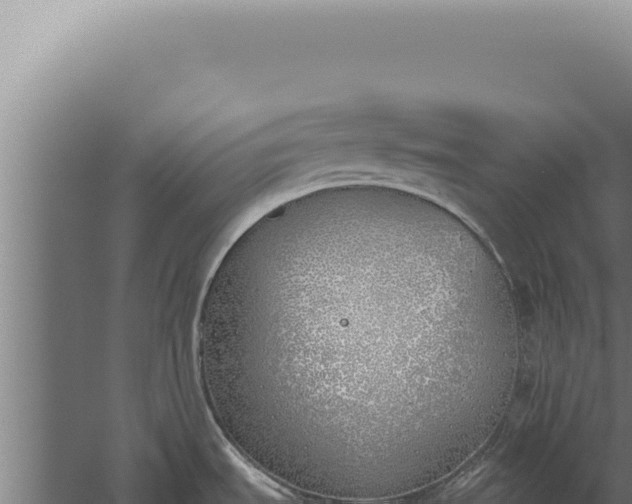 X0000059821535200510281718