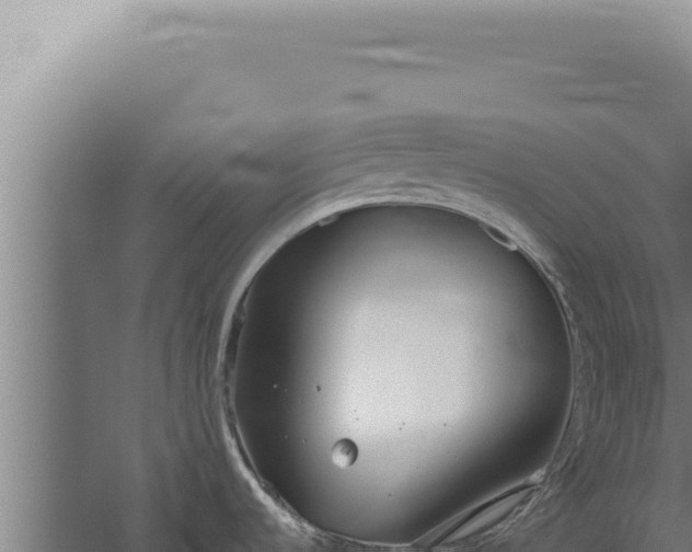 X0000059821536200510281718