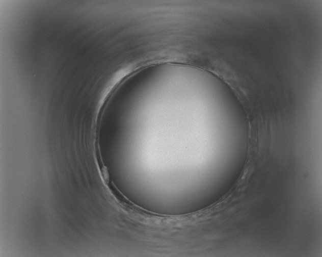 X0000059820003200511041732