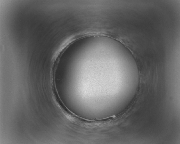 X0000059820005200511041732