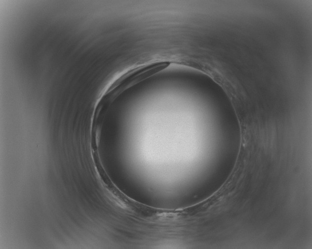 X0000059820052200511041730