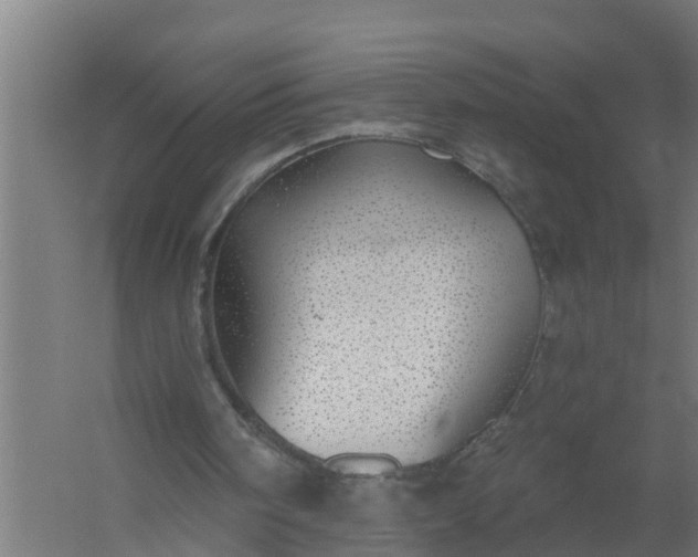 X0000059820098200511041730