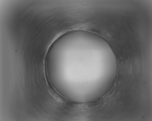 X0000059820100200511041730