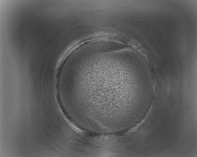 X0000059820101200511041730