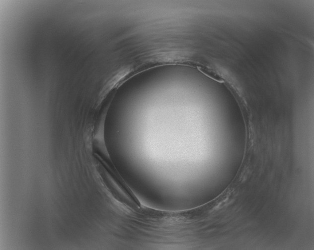 X0000059820105200511041730