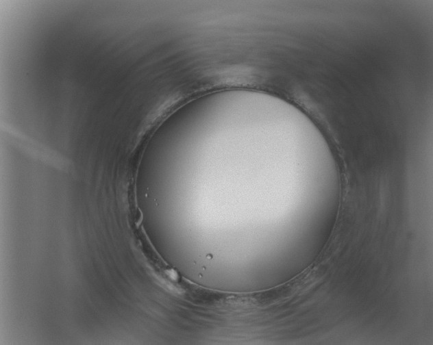 X0000059820106200511041730