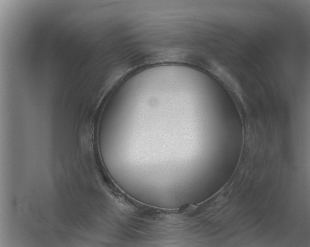 X0000059820107200511041730