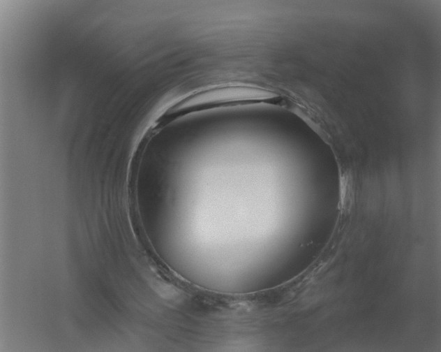 X0000059820195200511041728