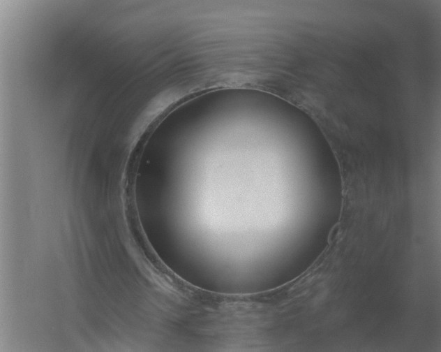 X0000059820242200511041727