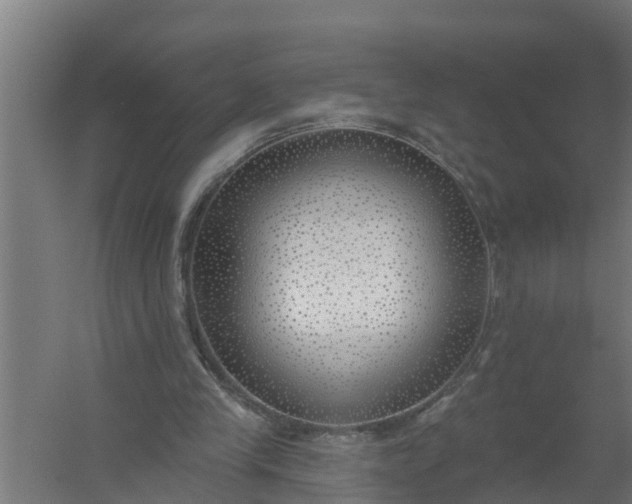 X0000059820245200511041727