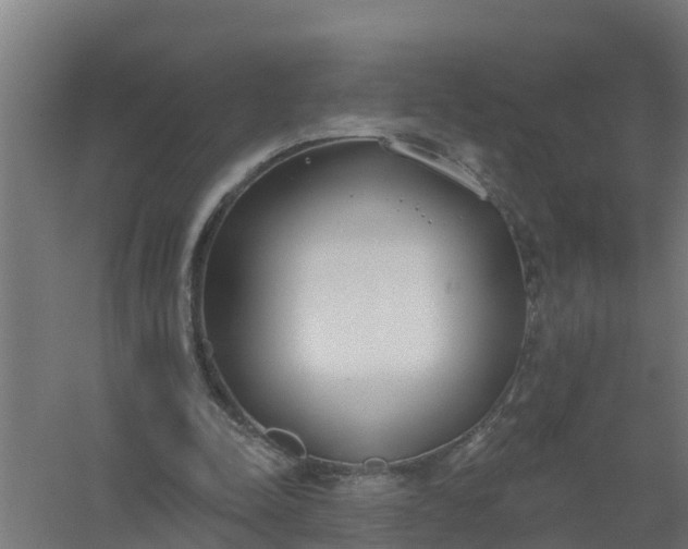 X0000059820342200511041725