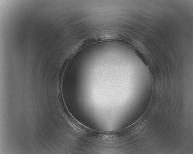 X0000059820401200511041725