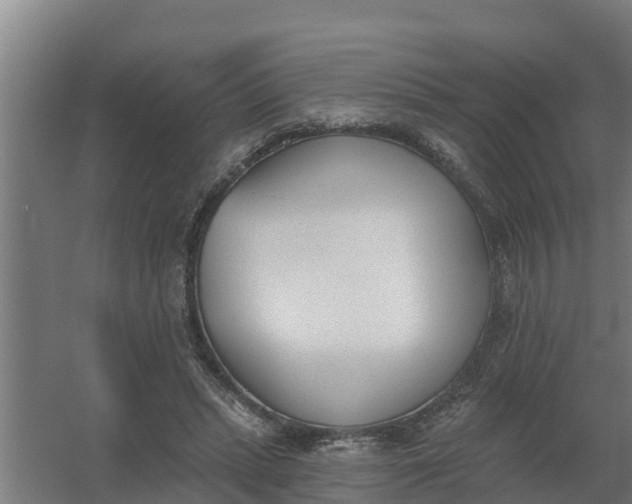 X0000059820447200511041724