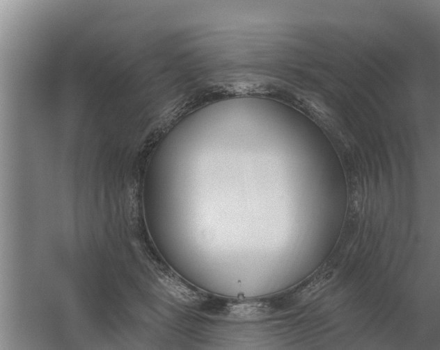X0000059820461200511041724