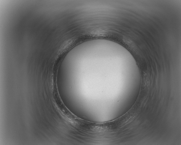 X0000059820494200511041723