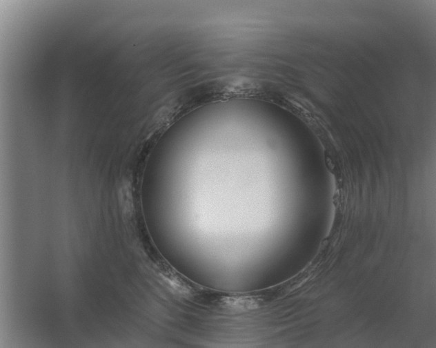 X0000059820520200511041723