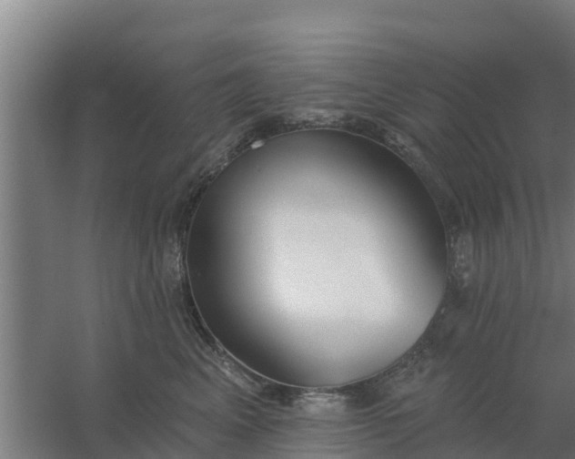 X0000059820617200511041721