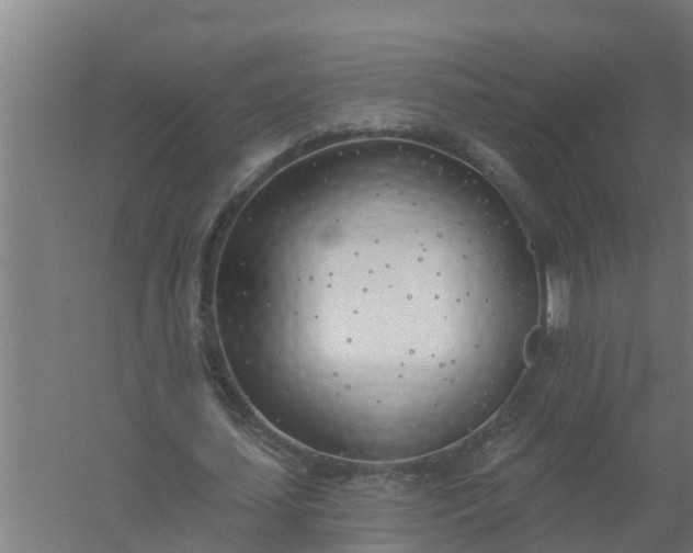 X0000059820627200511041720