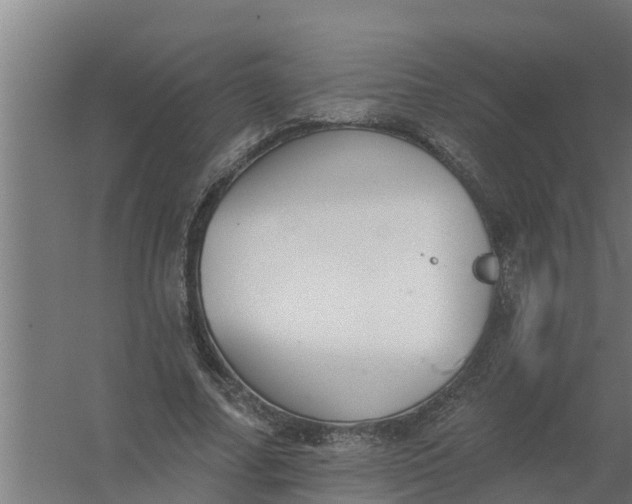 X0000059820682200511041720