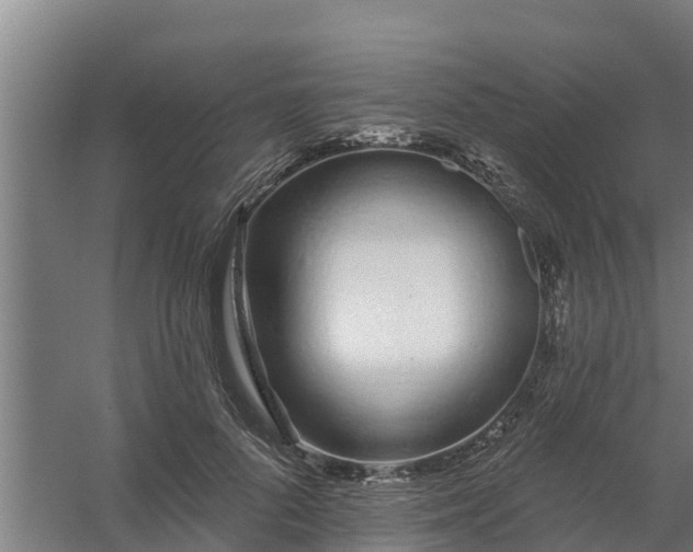 X0000059820696200511041720