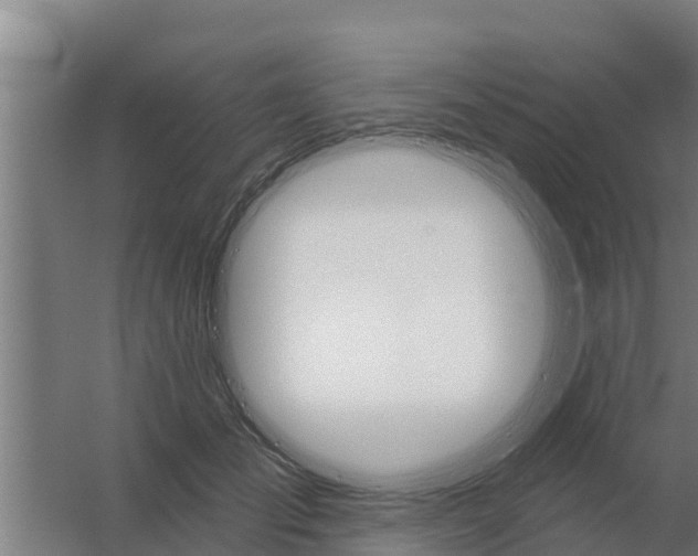 X0000059820701200511041720