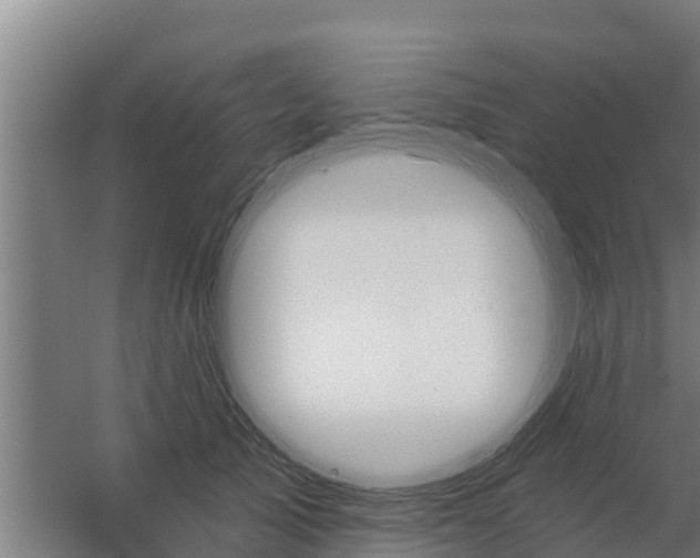 X0000059820705200511041720