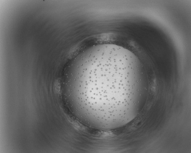 X0000059820715200511041720