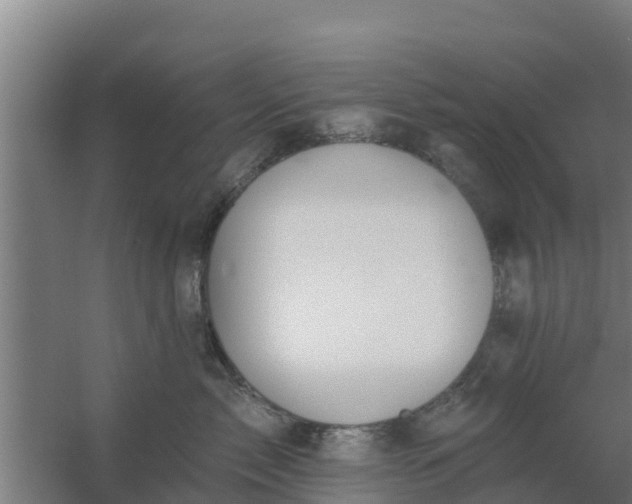 X0000059820717200511041719