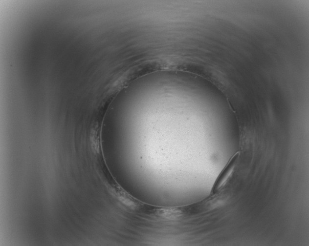 X0000059820719200511041719