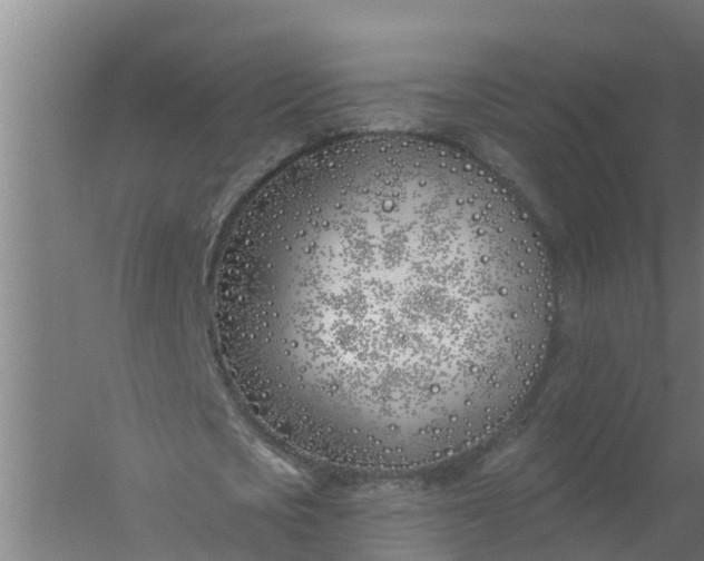 X0000059820721200511041719