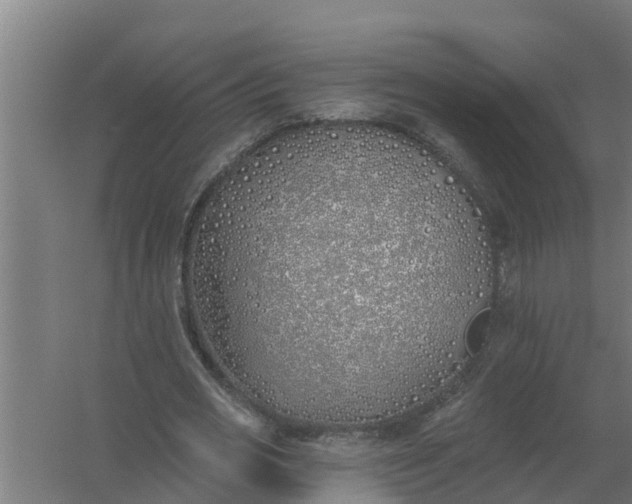 X0000059820725200511041719