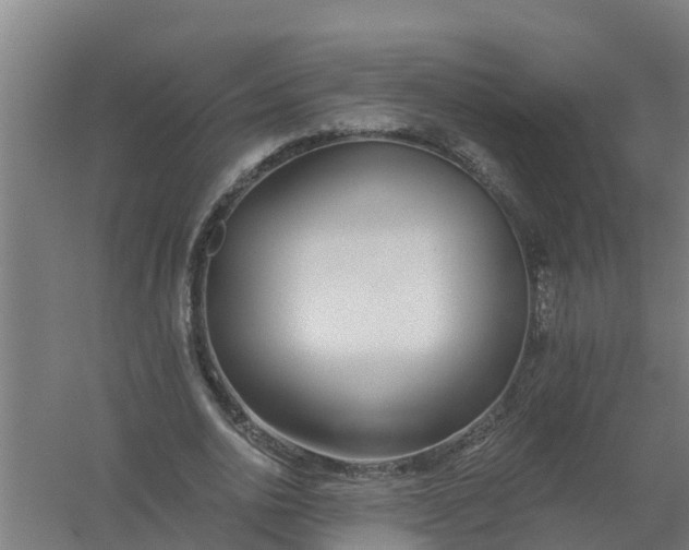 X0000059820726200511041719