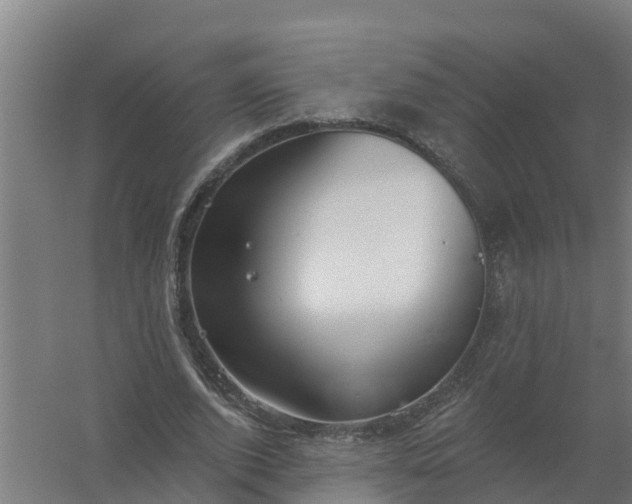 X0000059820728200511041719