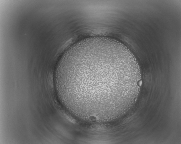 X0000059820729200511041719