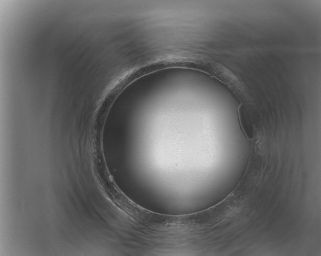 X0000059820732200511041719