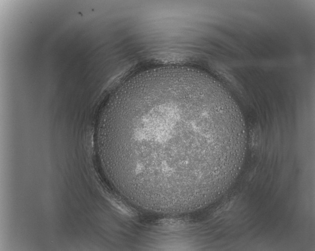 X0000059820733200511041719