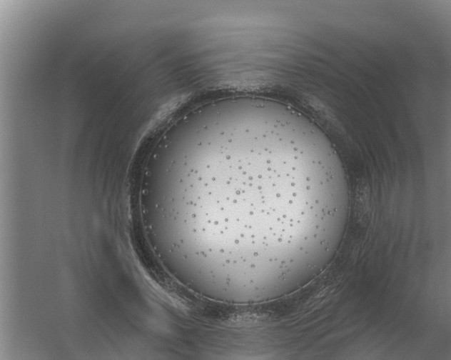 X0000059820734200511041719