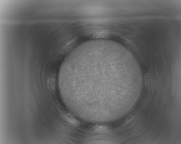 X0000059820741200511041719