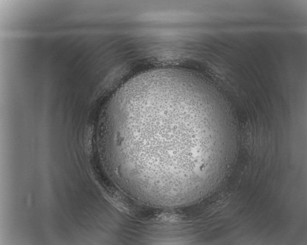 X0000059820742200511041719