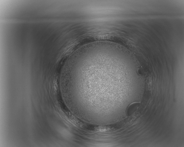 X0000059820746200511041719