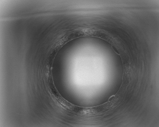 X0000059820752200511041719