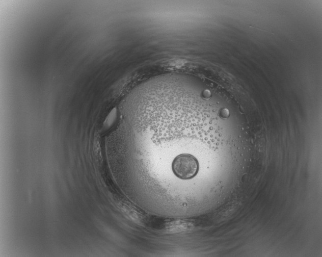 X0000059820754200511041719