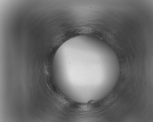 X0000059820755200511041719