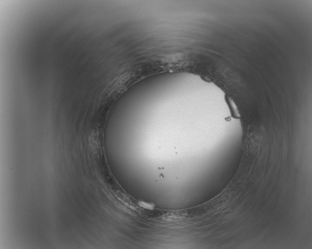 X0000059820756200511041719