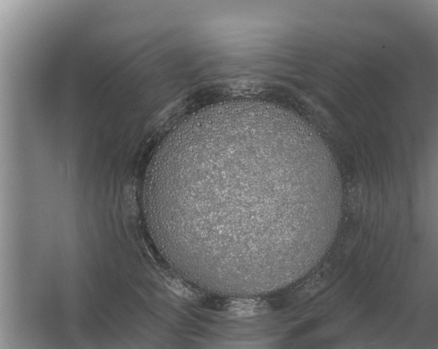 X0000059820757200511041719