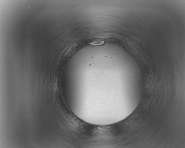 X0000059820758200511041719