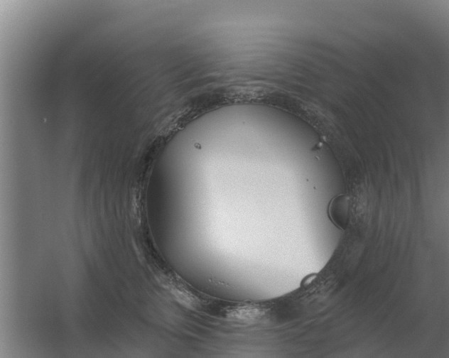 X0000059820759200511041719