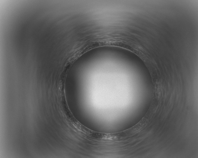 X0000059820760200511041719