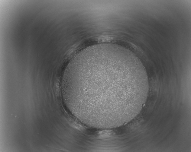 X0000059820761200511041719